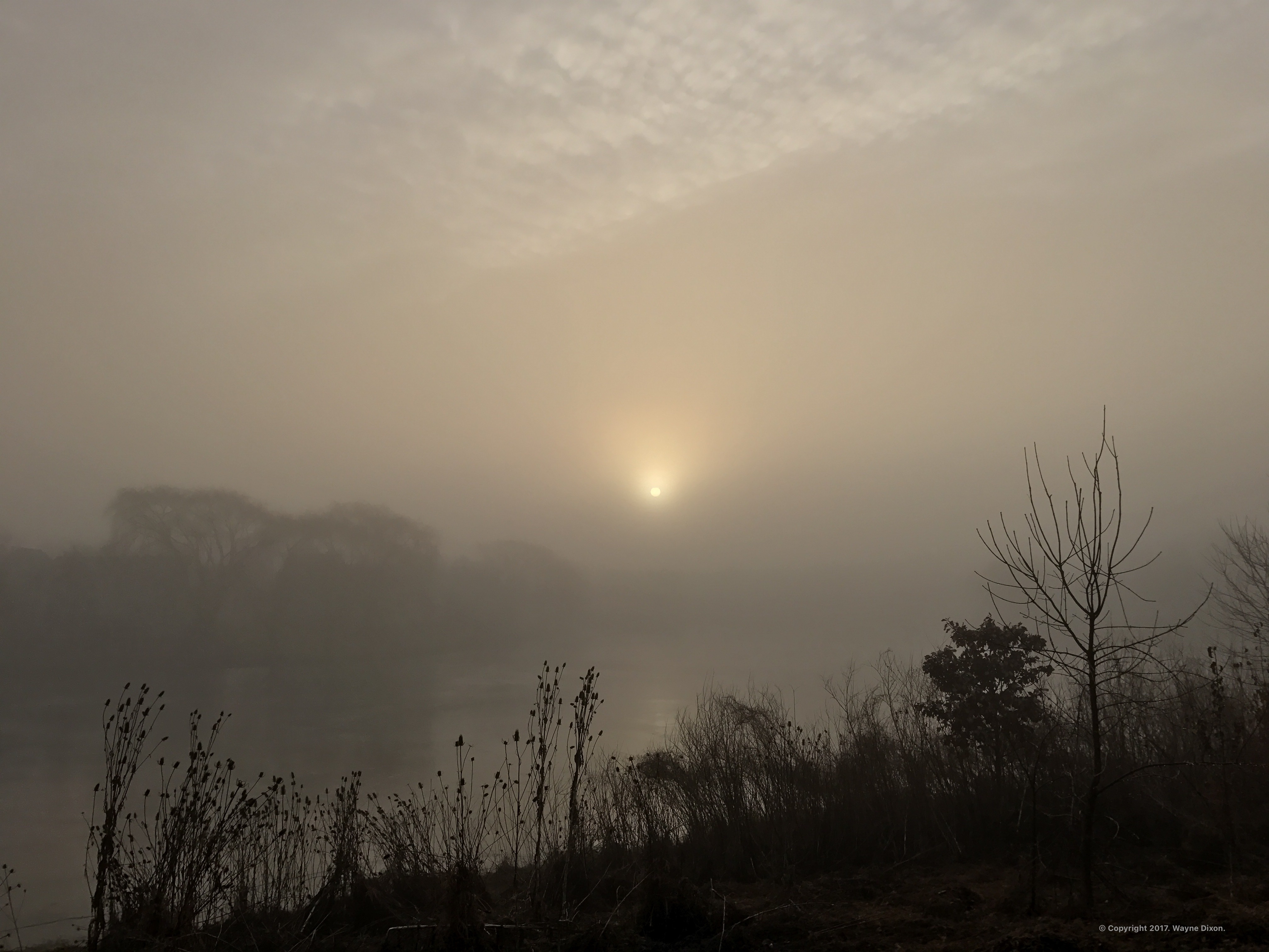 Super Foggy Sunrise over the Lake